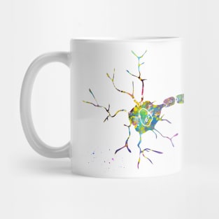 Anatomy of a typical human neuron Mug